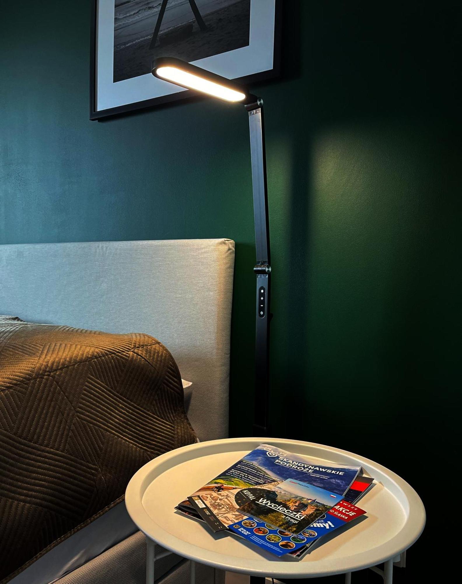 Apartament Zielone Podwale วาลบ์จิก ภายนอก รูปภาพ